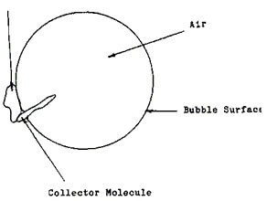 collected flotation bubble