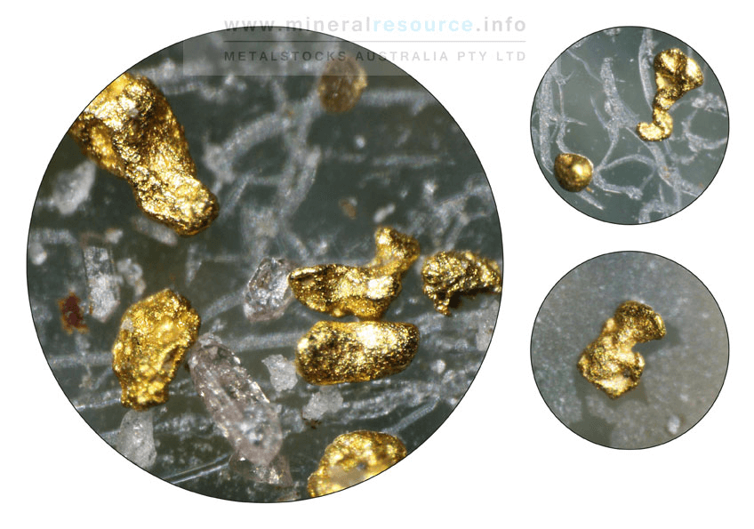 DIY mineralogy or microscopy & gold microscopy