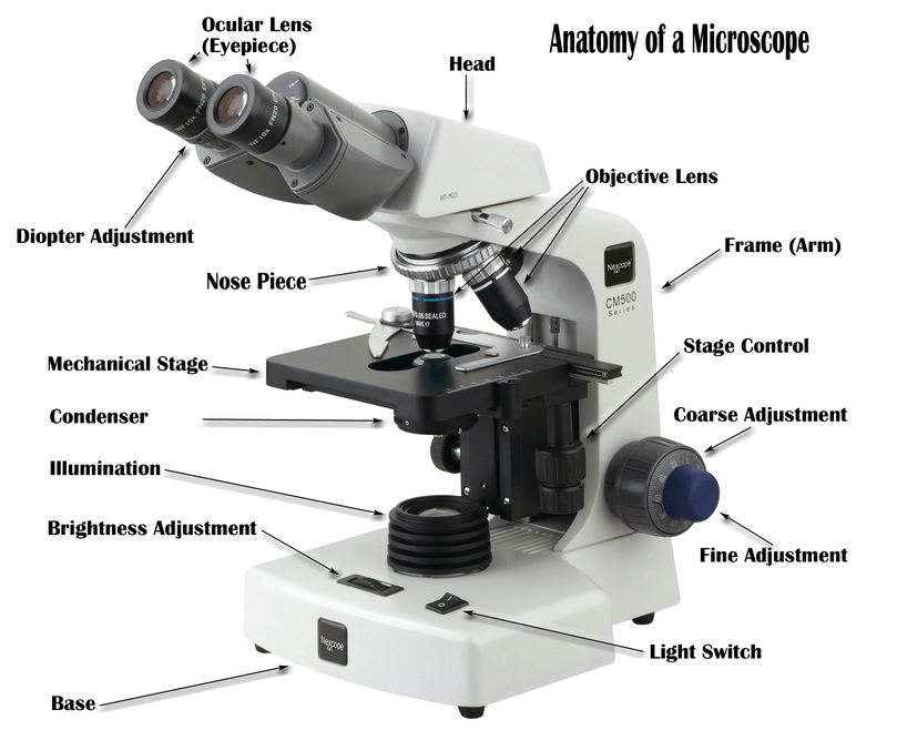 mineralogy_microscope