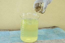 پین طلا را در یک لیوان ماده شیمیایی استخراج طلا پر کنید که مخلوط شده است