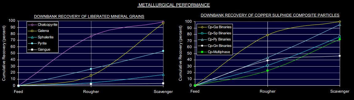 DOWNBANK RECOVERY OF LIBERATED MINERAL GRAINS