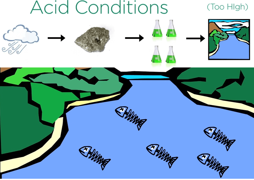acidic creeks with high metal