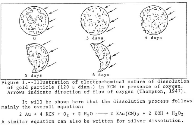 Effect_of_Gold_Particle_Size_on_Rate_of_Dissolution