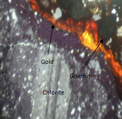 Gold grain detected at 63x