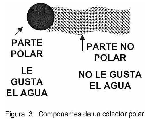 componentes de un colector polar