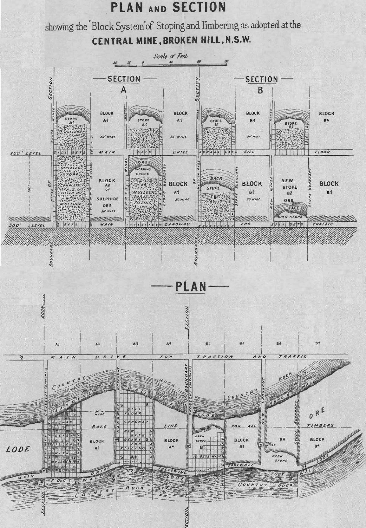 plan and section