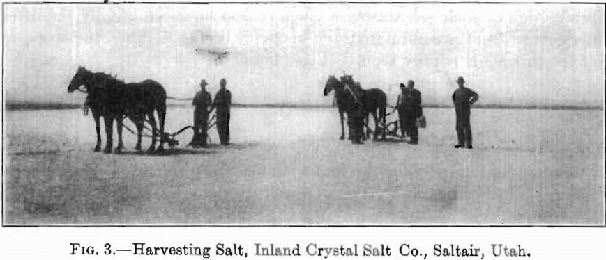 harvesting-salt-inland-crystal-salt-co