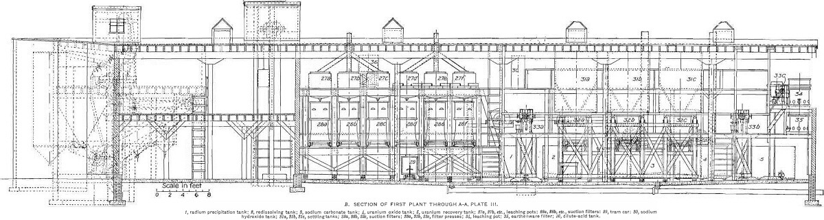 section of first plant