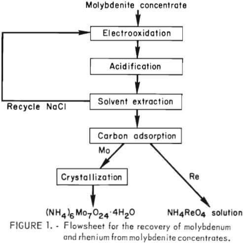 molybdenite-concentrate-flowsheet