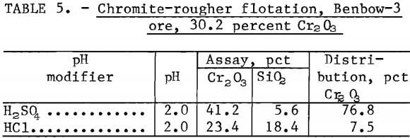 chromite-rougher-flotation-benbow-3