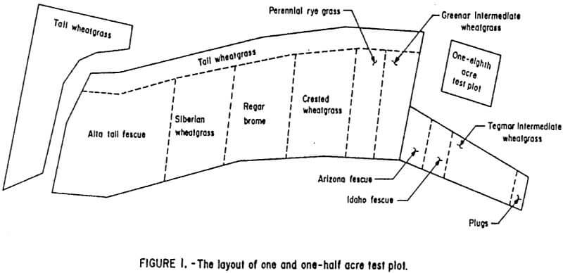 the-layout-of-one-and-one-half-acre-test-plot