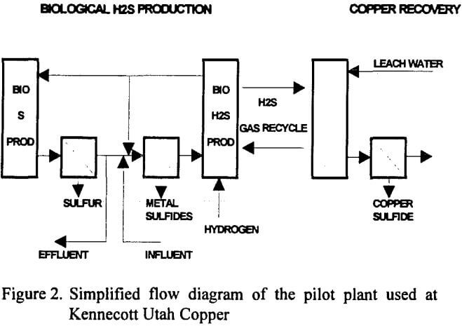 biological-reduction-simplified-flow-diagram-of-the-pilot-plant