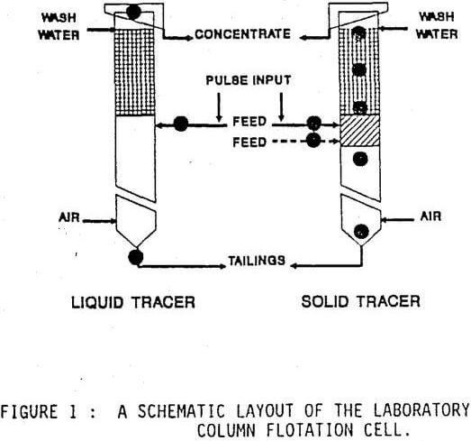 column flotation cell layout