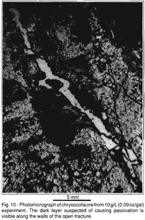 copper-ore-leaching-photomicrograph