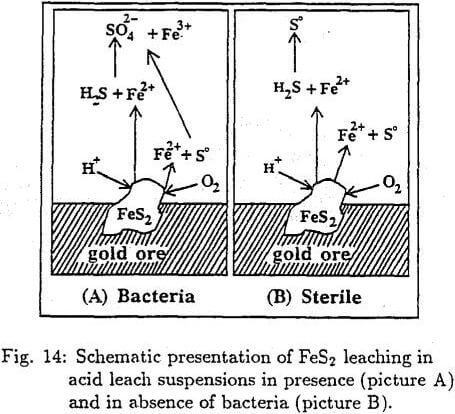 gold-ore-leaching suspension
