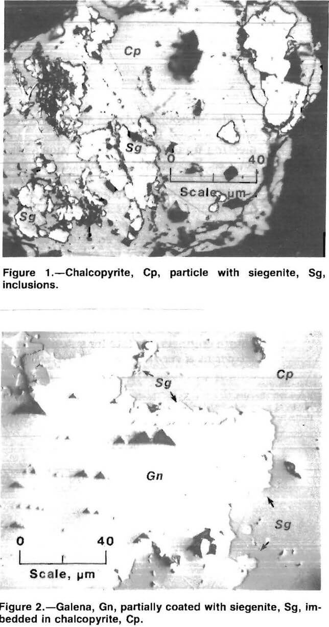 flotation imbedded in chalcopyrite