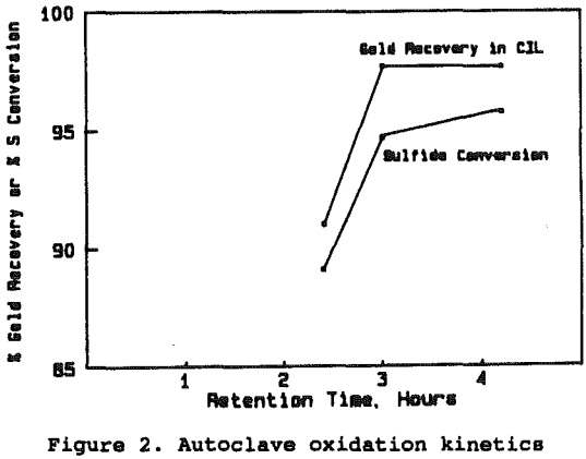 pressure-oxidation-autoclave