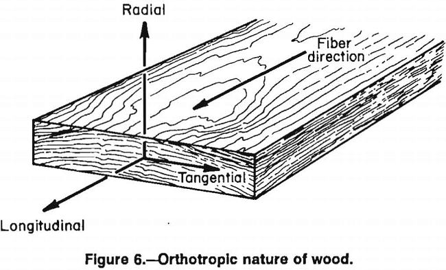 wood crib orthotropic nature