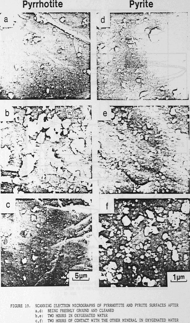 effect of pyrite-pyrrhotite scanning electron micrographs