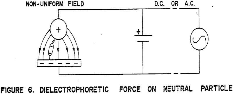 electrostatic-separation dielectrophoretic force