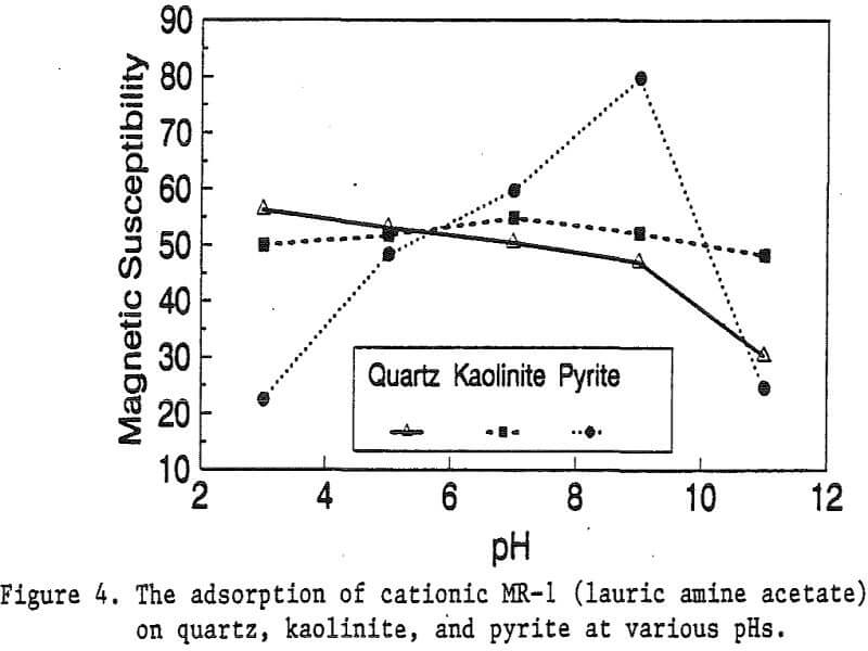 magnetic reagent adsorption of cationic