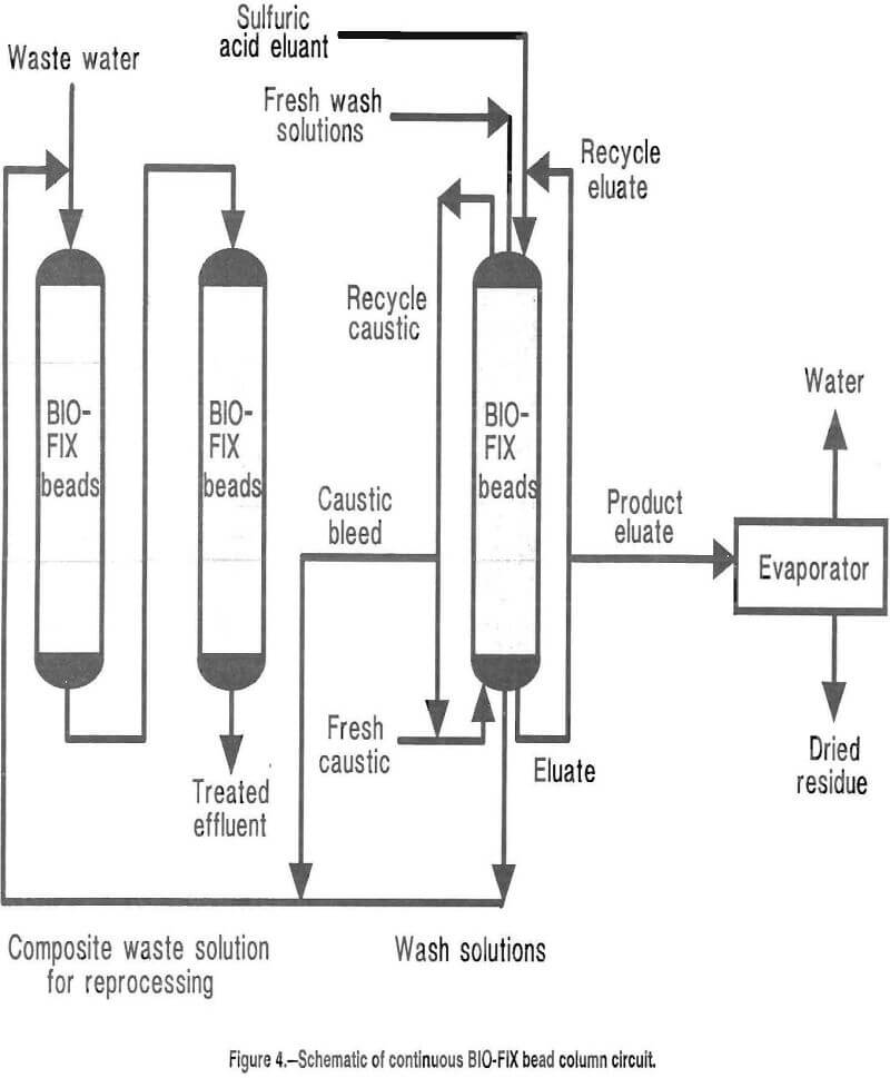 biosorption of metal bio-fix bead column circuit