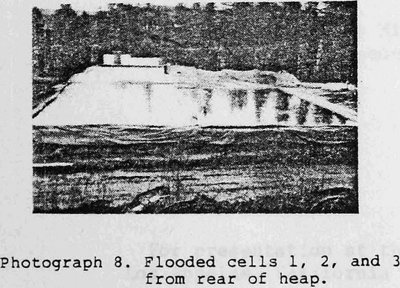 cellular-heap-leaching-flooded-cells