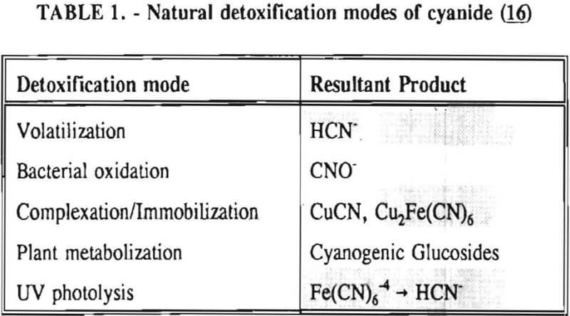 cyanide-natural-detoxification-modes