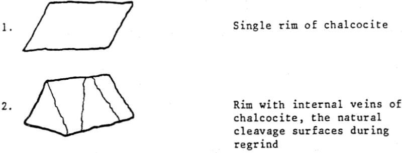 cyanide-single-rim-of-chalcocite