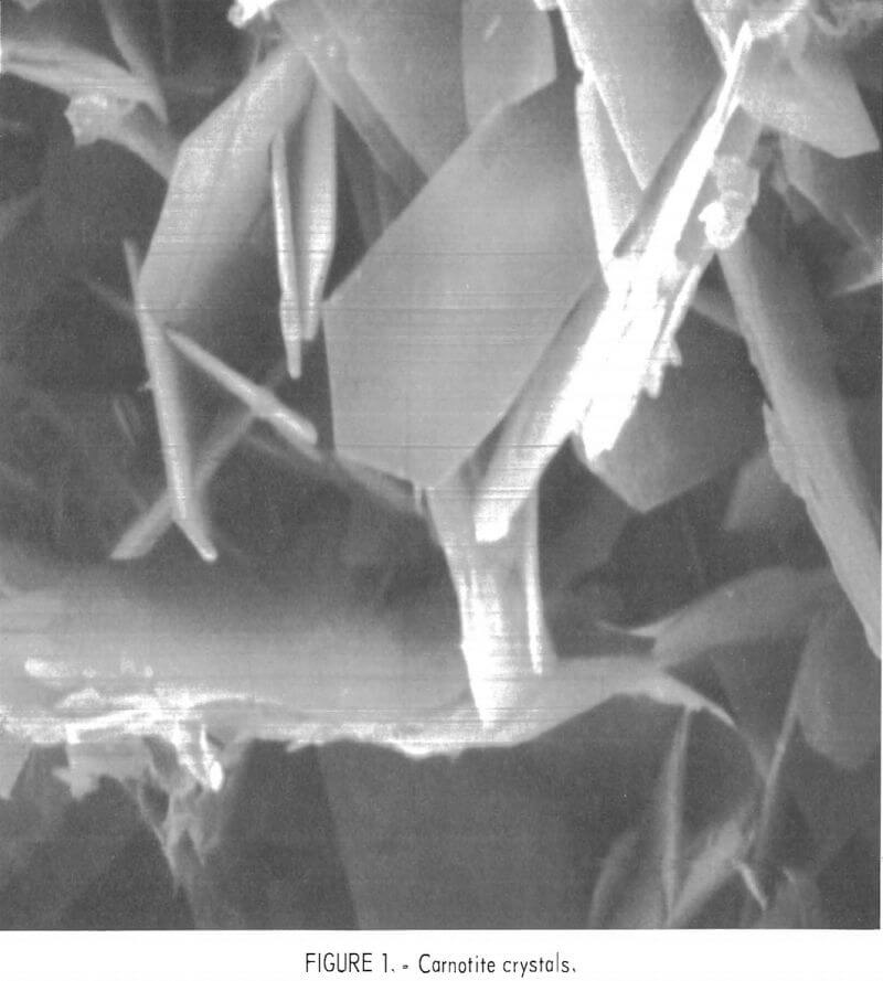 extracting-vanadium-and-uranium carnotite crystals