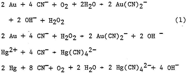 gold-cyanide-leach-solution-equation