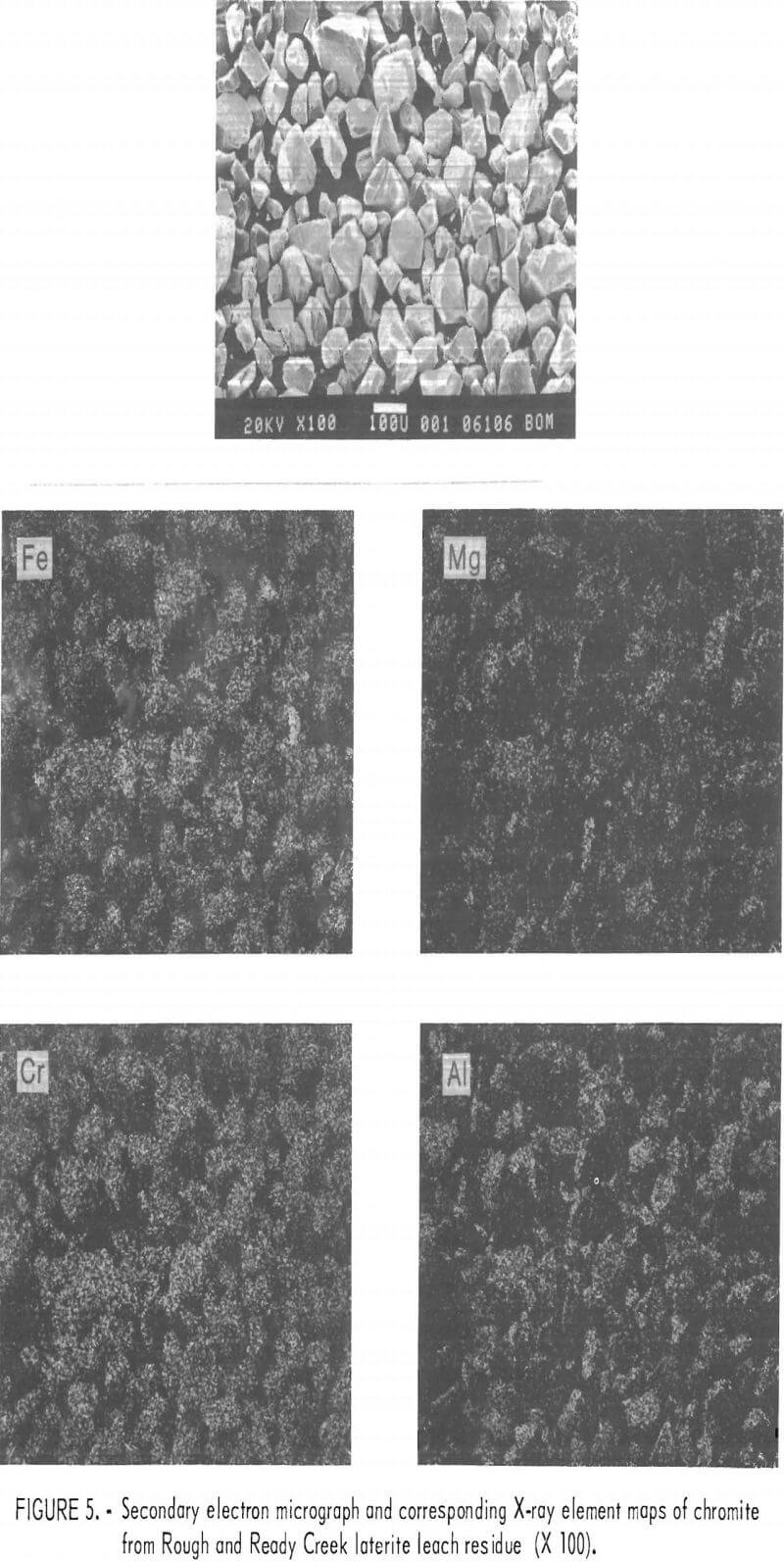 leach residue secondary electron micrograph