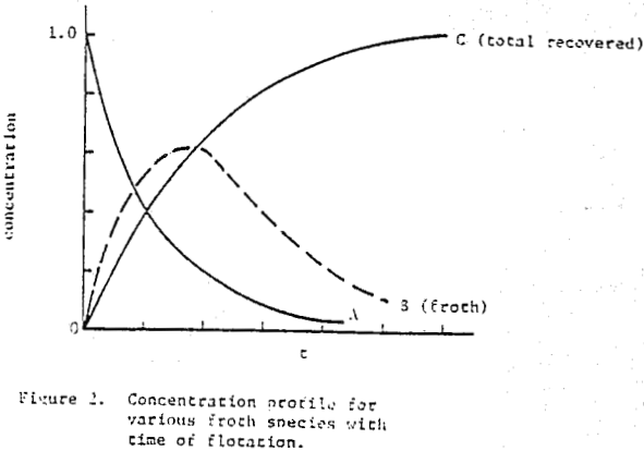 froth-flotation-concentration-profile