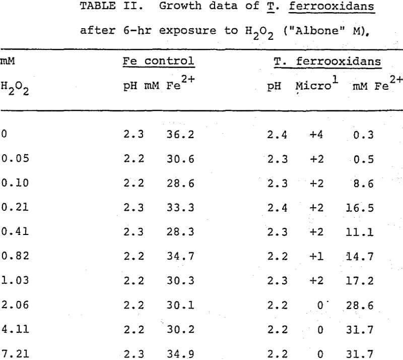 effect-of-hydrogen growth data of t ferrooxidans