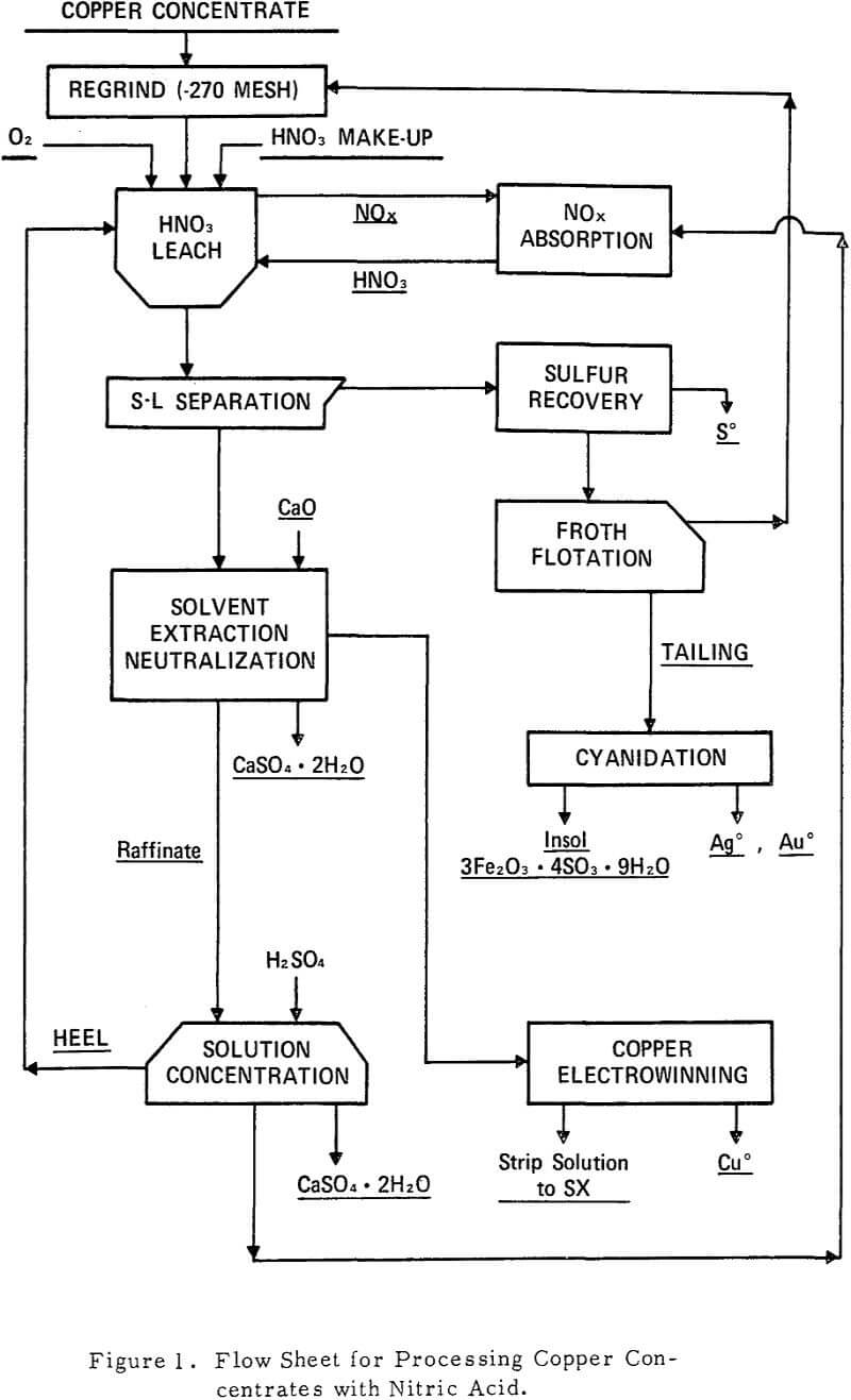copper concentrate flow sheet