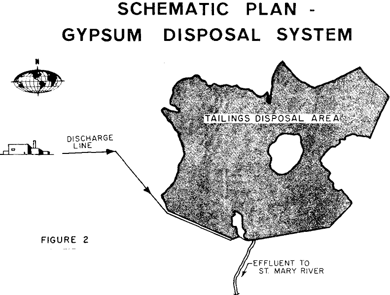 gypsum tailings pond disposal system