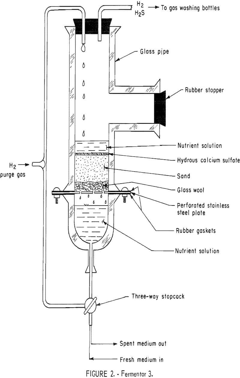 microbial-conversion fermentor-3