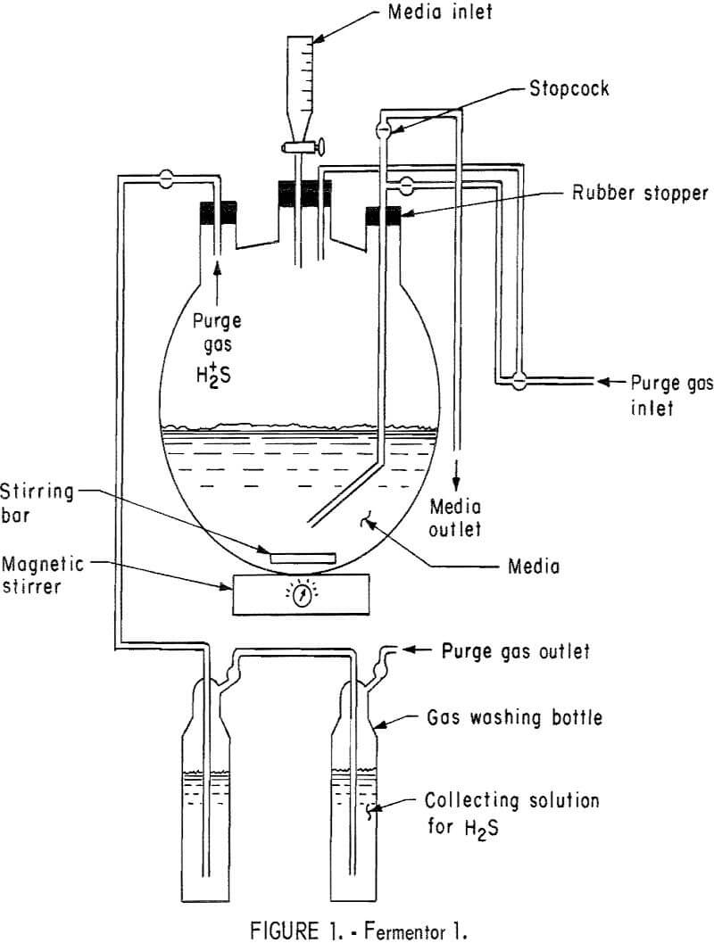microbial-conversion fermentor