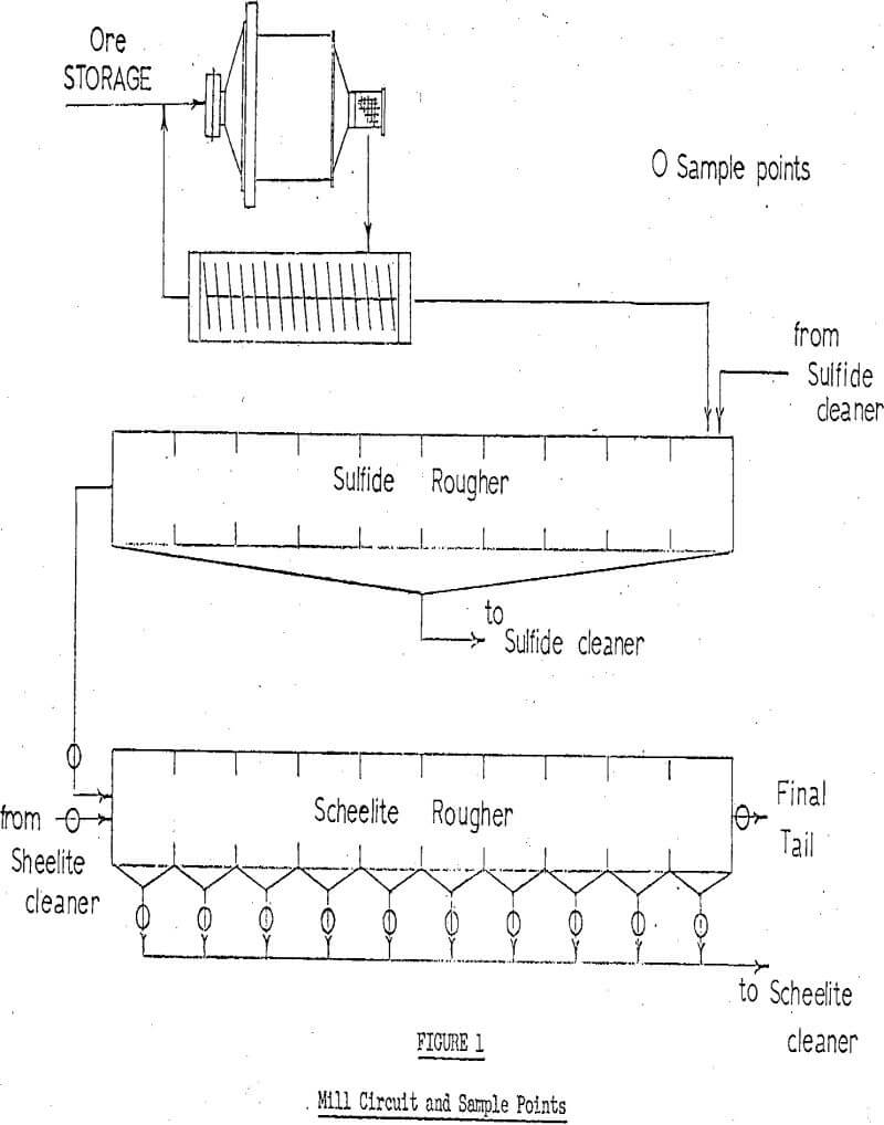 flotation mill circuit and sample points