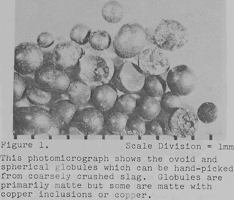 recovery of copper photomicrograph