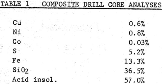 copper-nickel-ore-processing-composite-drill-core-analyses