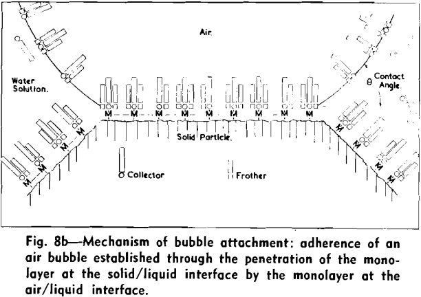 flotation-mechanism-of-bubble-attachment-2