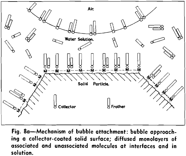 flotation mechanism of bubble attachment